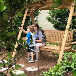 The Sensory Arts Garden at the Els Center of Excellence