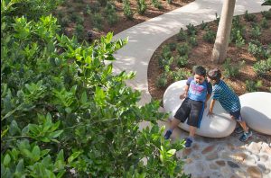 The Sensory Arts Garden at the Els Center of Excellence
