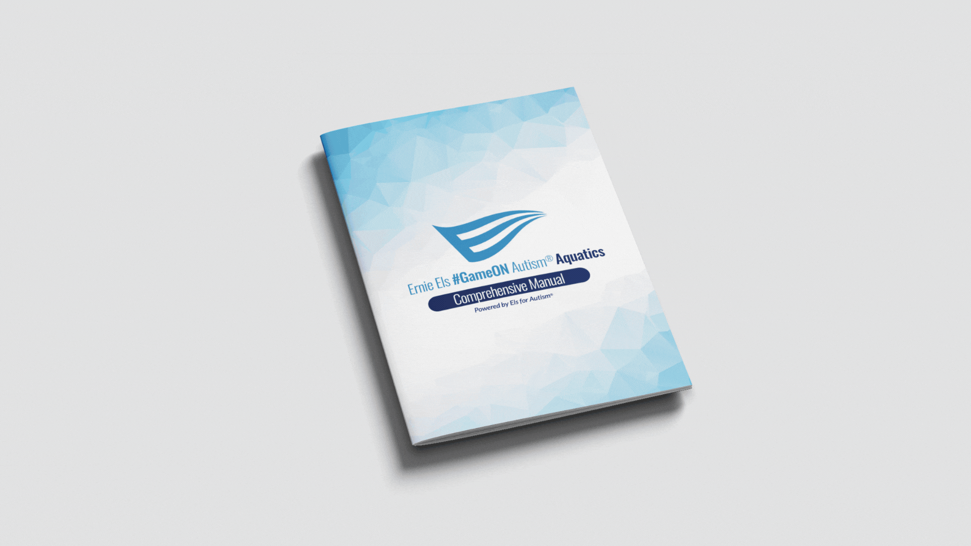 Aquatics Curriculum Manual Preview
