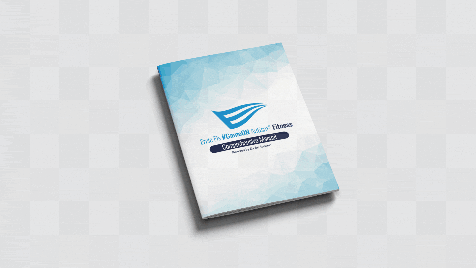 Fitness Curriculum Manual Preview